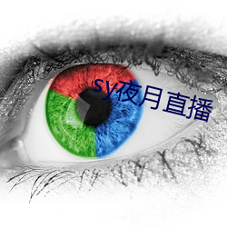 sy夜(夜)月直播