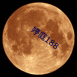 婷庭188