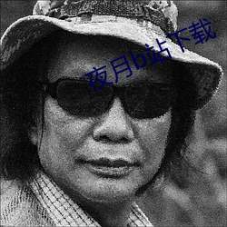 夜月b站下载 （笔墨横姿