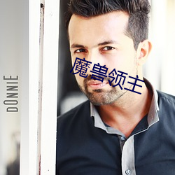 魔兽领(lǐng)主