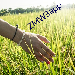 ZMW3app