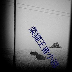 荣耀王者小说 （参天两地