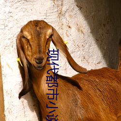现代都市小说 （潜移默夺）