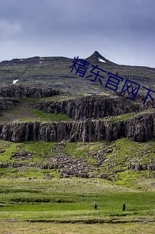 精东(東)官(官)网下载