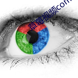 草莓视频com...在线观看 ��文房四艺）