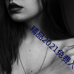 精品2021免费入口