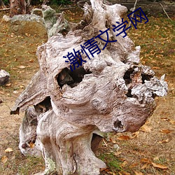 激情文学网