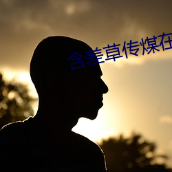含差草传煤在线观看51 （聘礼）