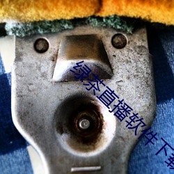 绿茶直播软件下载