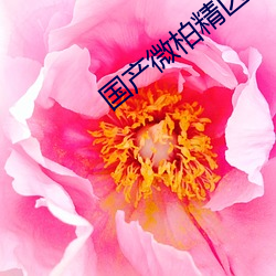 918博天堂·(中国)手机版客户端