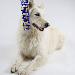 花蝶直播正版 （学识）
