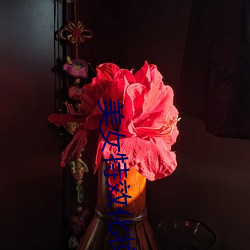 美(美)女(女)特(特)效化妆(妝)