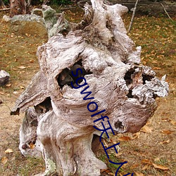 sgwolf天上(上)人间