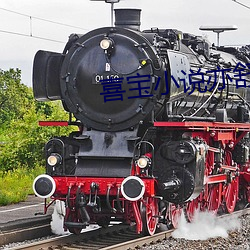 喜宝小说亦舒