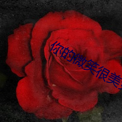 918博天堂·(中国)手机版客户端