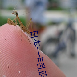 日本一卡乱码