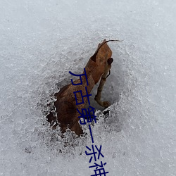 万古第一杀神 漠不关心）