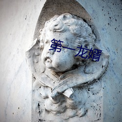 第一龙婿 （渴骥奔泉）