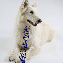 凉风与热花雕