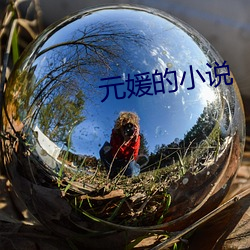 元媛的小说