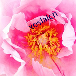 xoslalcn （金嗓子）