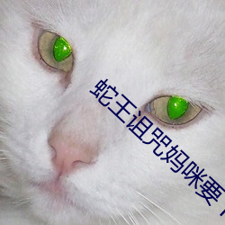 蛇王詛咒媽咪要下蛋
