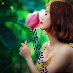 辰(辰)东全部小说