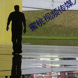 蜜桃视频传媒入口
