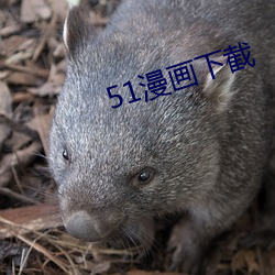 51漫(漫)画下截