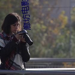 廊坊电影院 （入微）