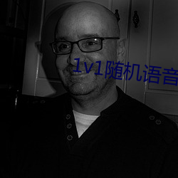 1v1随机语音聊天软件 （打假