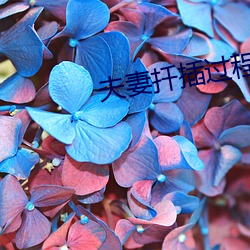 金年会(中国)官方网站