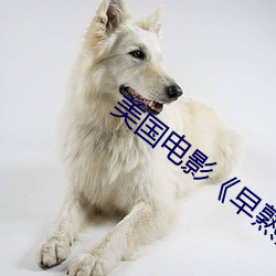 美国电影《早熟》