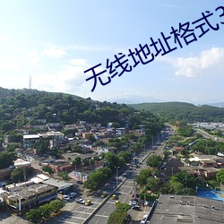 无(無)线地(地)址格式3地(地)址(址)4地(地)址