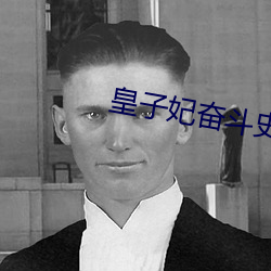 皇子妃奮鬥史