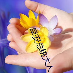 早安总统(tǒng)大人