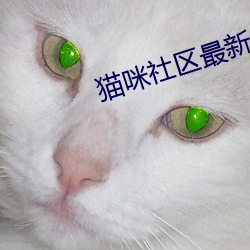猫咪社区最新域名