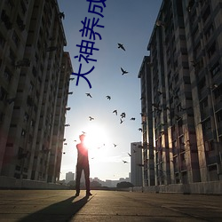 大神養成計劃