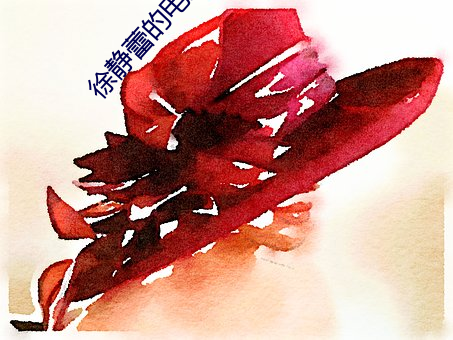 徐静蕾的电影(yǐng)