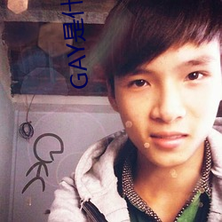 GAY是什么意思