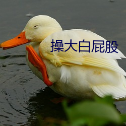 操大白屁股