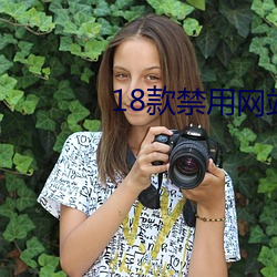 18款禁用网站二次元