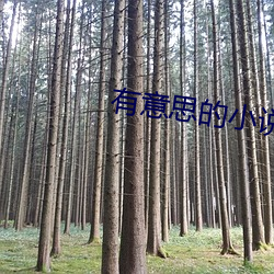 有意思的小說