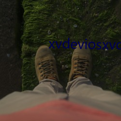 xvdeviosxvdevios冫(冫)