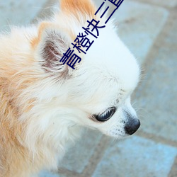918博天堂·(中国)手机版客户端