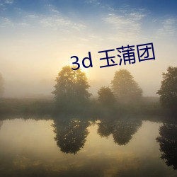 3d 