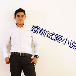 婚前试爱小说