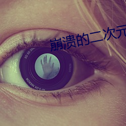 崩溃的二次元