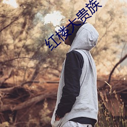 红楼大贵族(族)