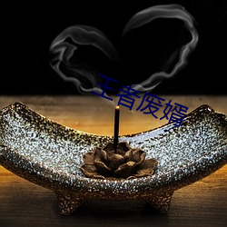 王者废(fèi)婿